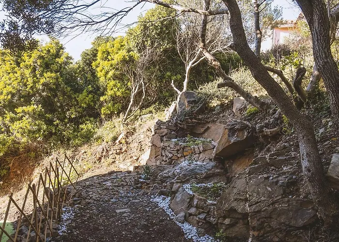 Bluemaison Apartament *